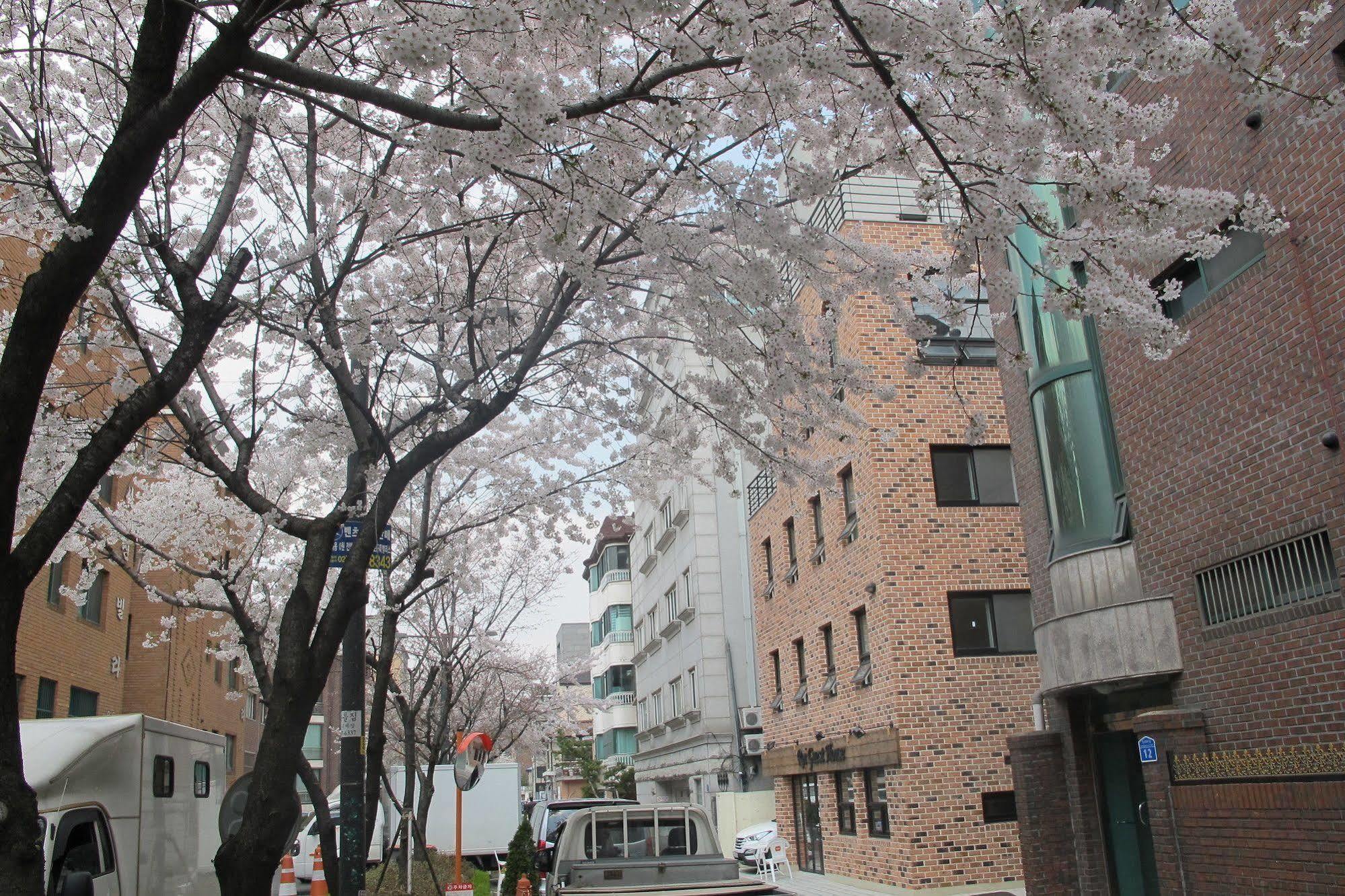 Roi House Hotel Seoul Exterior photo